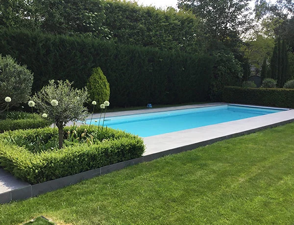 An outdoor swimming pool in a mature garden setting