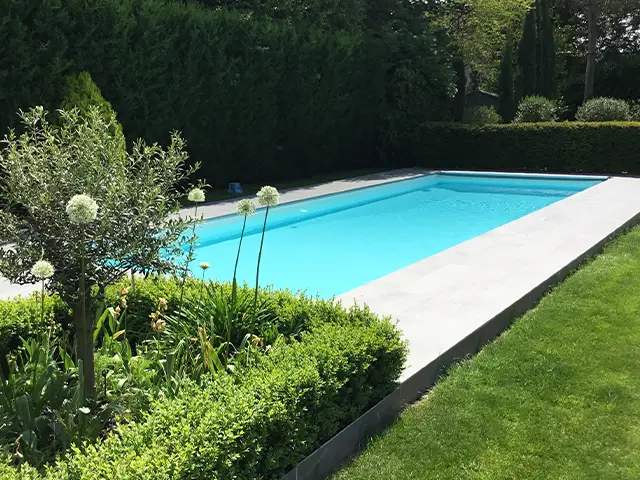 An garden swimming pool surrounded on two sides by hedges.